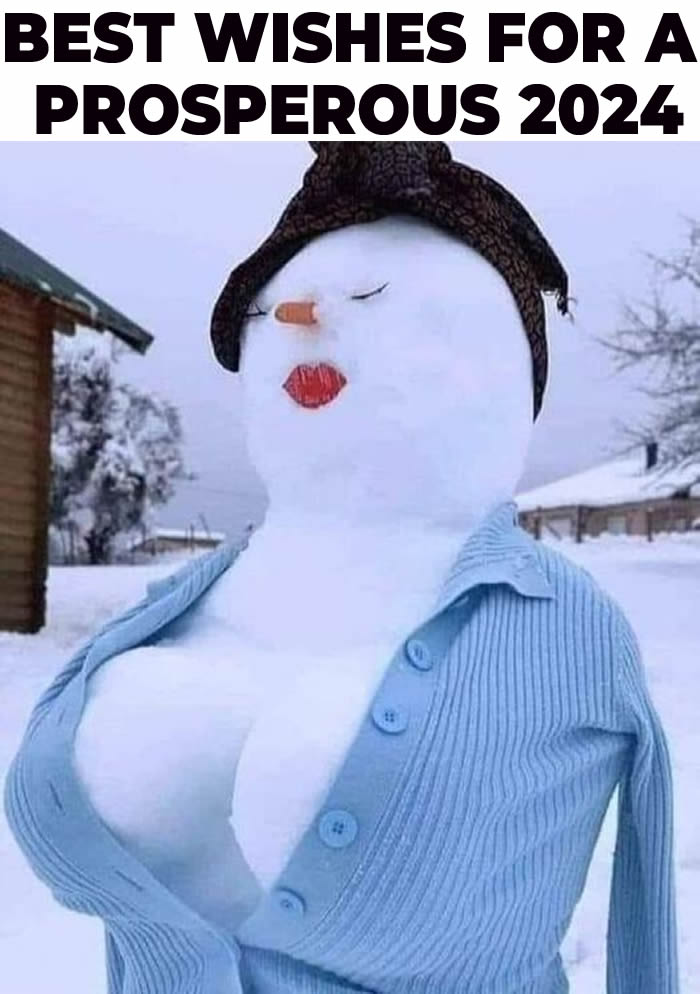 Photo for funny wishes 2024. A beautiful snowman with a busty breasts