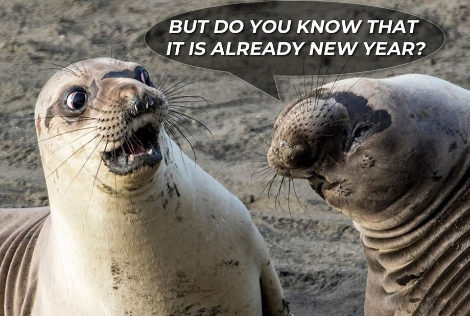 humorous photo New Year: But you know that we are almost already New Year again.