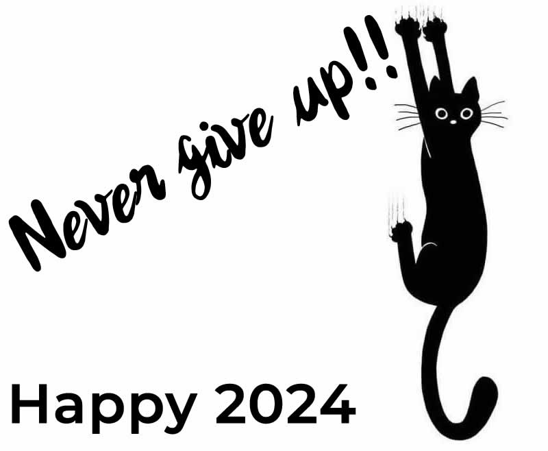 Never give up. Happy 2024