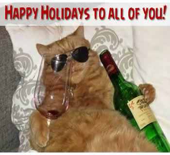A beautiful cat with glasses and glass wishes you happy holidays